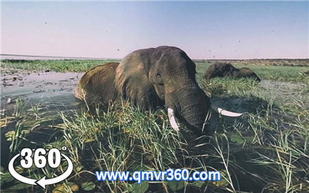 360°全景VR视频：探索世界VR城市、湖泊、瀑布、草原、动物、高山、丛林、大海_超清 4K 1027-19