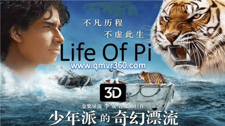 3D电影《少年派的奇幻漂流》 3D 左右格式VR电影1080P