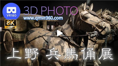 180°全景VR视频：上野兵马俑展VR日本中国历史馆展览文物 3D幻灯片 超清8K 0112-06