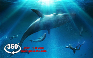 360°全景VR视频：最美深海体验_超清 4K-0707-12