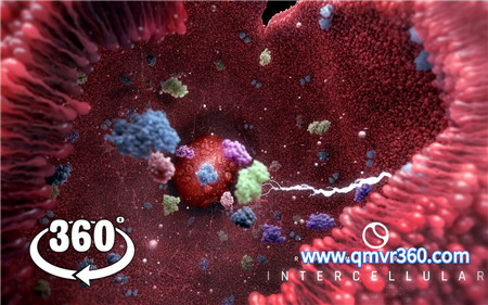 360°全景VR视频：人体细胞绝美震撼之旅VR人体内部器官_超清 4K- 1109-10