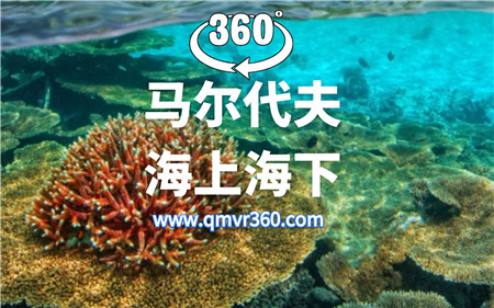 360°全景VR视频：马尔代夫的震撼风光VR旅游马尔代夫海滩海底风景 超清4K 1201-03