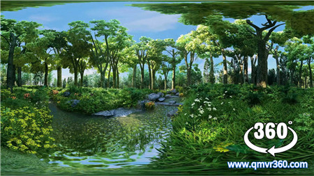 360°全景VR视频：《光合作用》VR教育短片 三维写实动画 学习科普教育全景视频 超清4K 0625-13