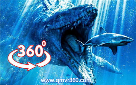 360°全景VR视频：深海巨兽海底生物科普VR海洋鱼类全景视频 超清4K 0112-03