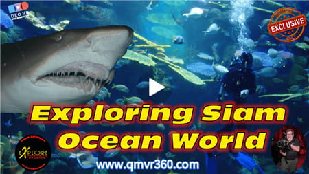 3DVR视频：探索暹罗海洋世界VR进入暹罗海洋世界的水下王国 超清8K 0325-29