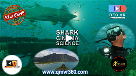 3DVR视频：鲨鱼电影科学鲨鱼袭击鲨鱼科学电影鲨鱼袭击研究 超清6K 0325-13