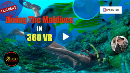 360°全景VR视频：马尔代夫潜水 未知区域VR马尔代夫海底世界 潜水爱好者 高清4K 0621-15