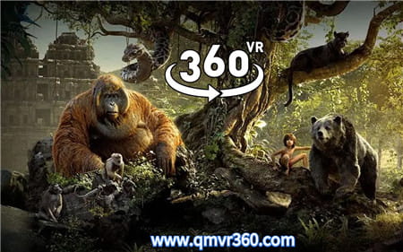 360°全景VR视频：奇幻森林 猴子和猩猩的王国洞穴 动物世界 高清4K 0731-08