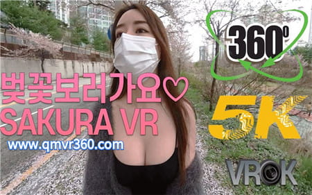 360°全景VR视频：韩国小姐姐看樱花 美女逛街 高清4K 0718-19
