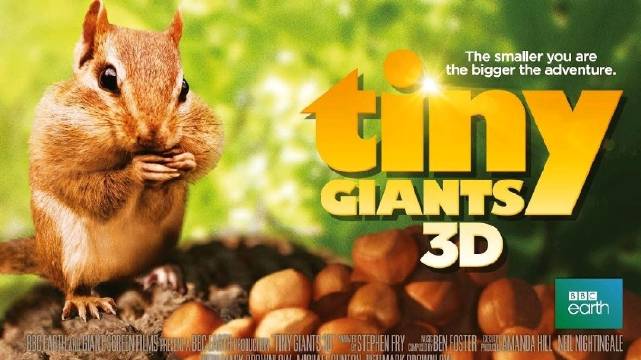 3D纪录片《小巨人3D》国语中文字幕 Tiny Giants 3D 左右分屏格式 英国纪录片 百度网盘下载