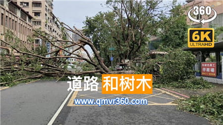 360°全景VR视频：直击台风当日的街道和断树 VR狂风暴雨 全景台风天沉浸式体验 超清6K 1124-20
