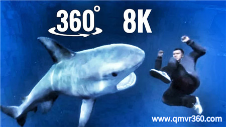 360°全景VR视频：GTA VR 水下游泳遭鲨鱼攻击 VR全景 超清8K 0120-29